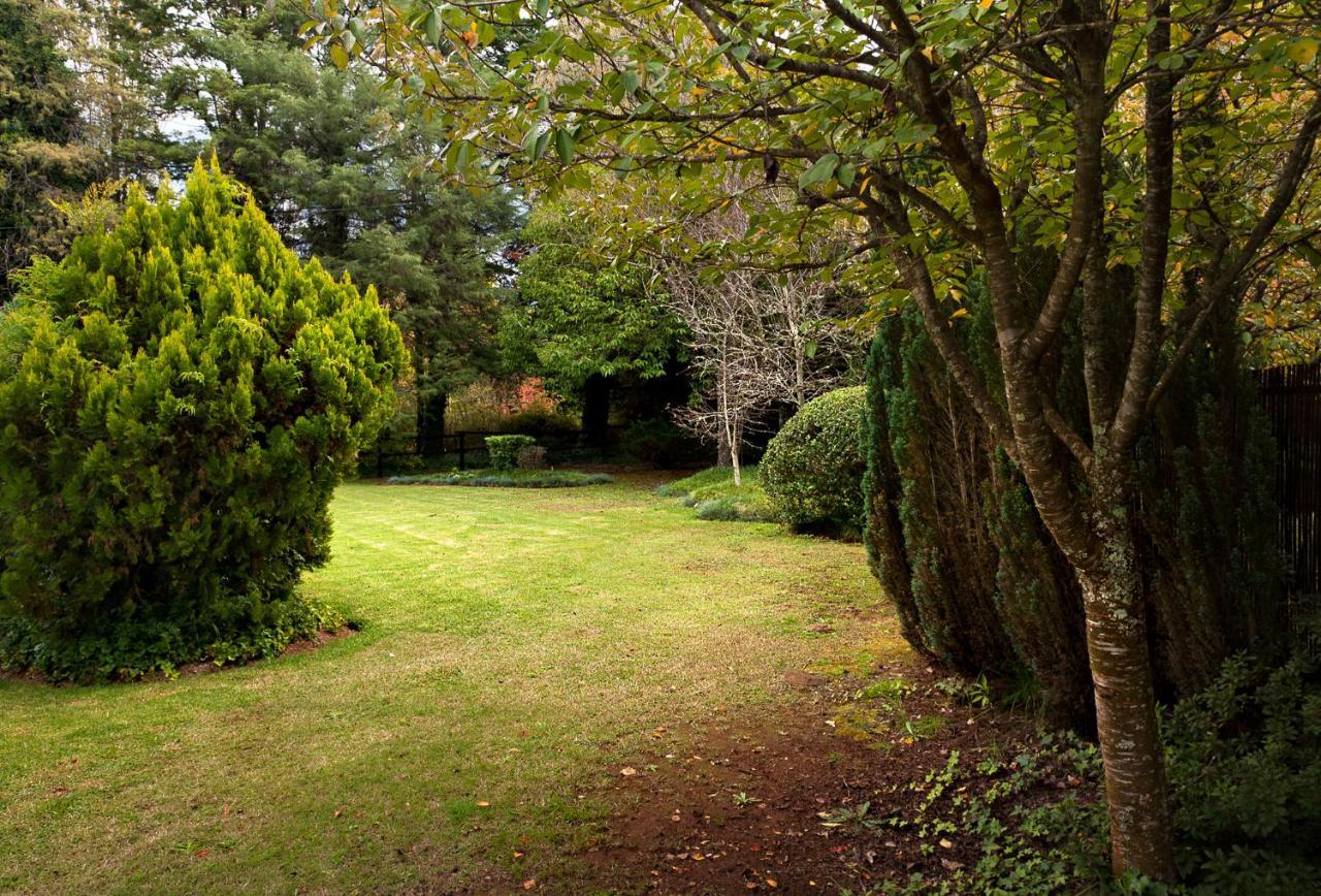 Birches Cottage & The Willows Garden Room Ундерберг Экстерьер фото