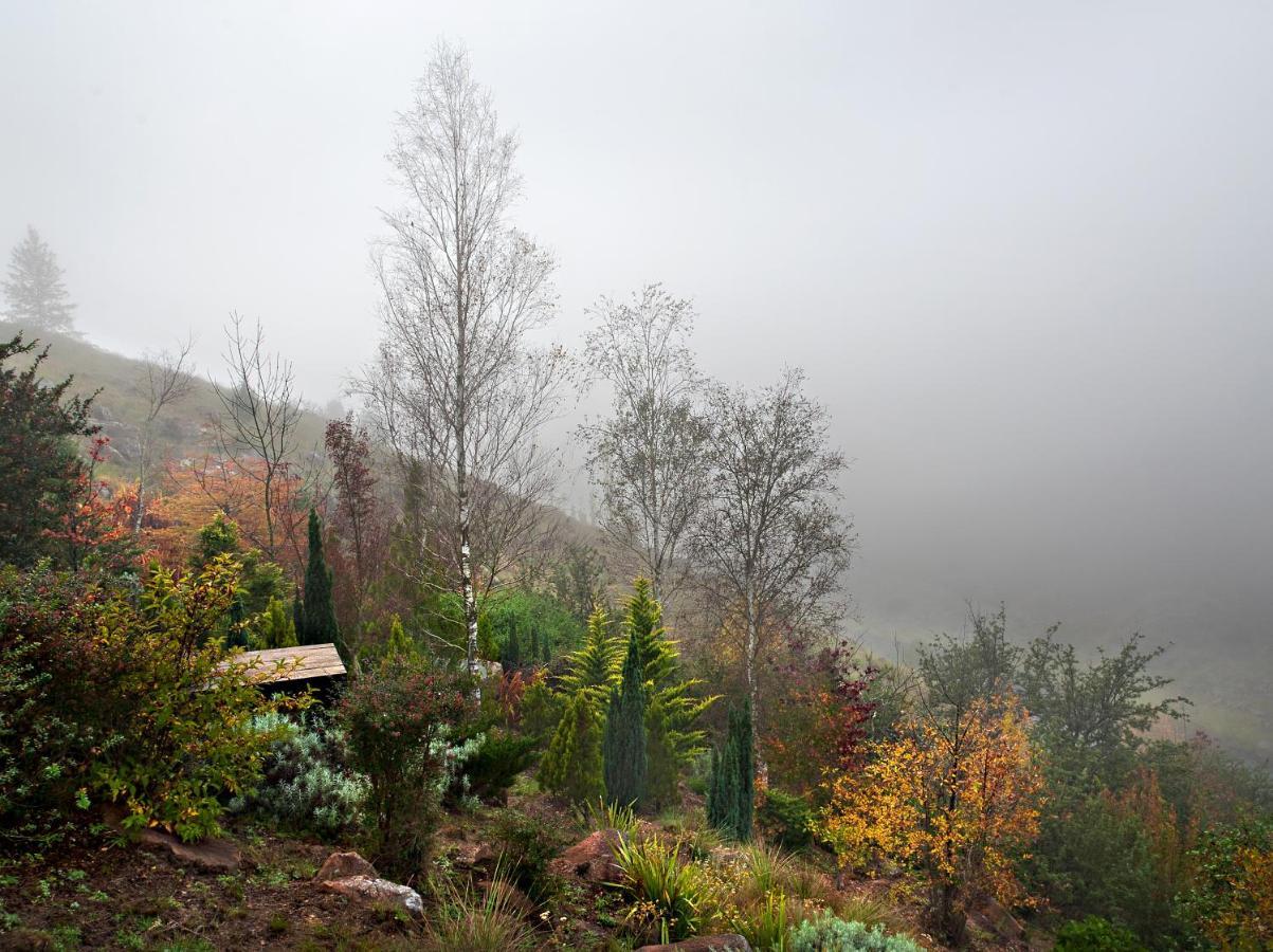 Birches Cottage & The Willows Garden Room Ундерберг Экстерьер фото