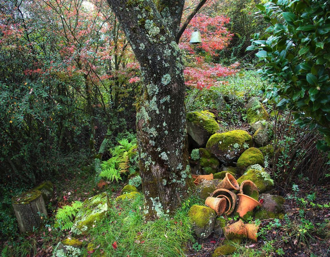 Birches Cottage & The Willows Garden Room Ундерберг Экстерьер фото