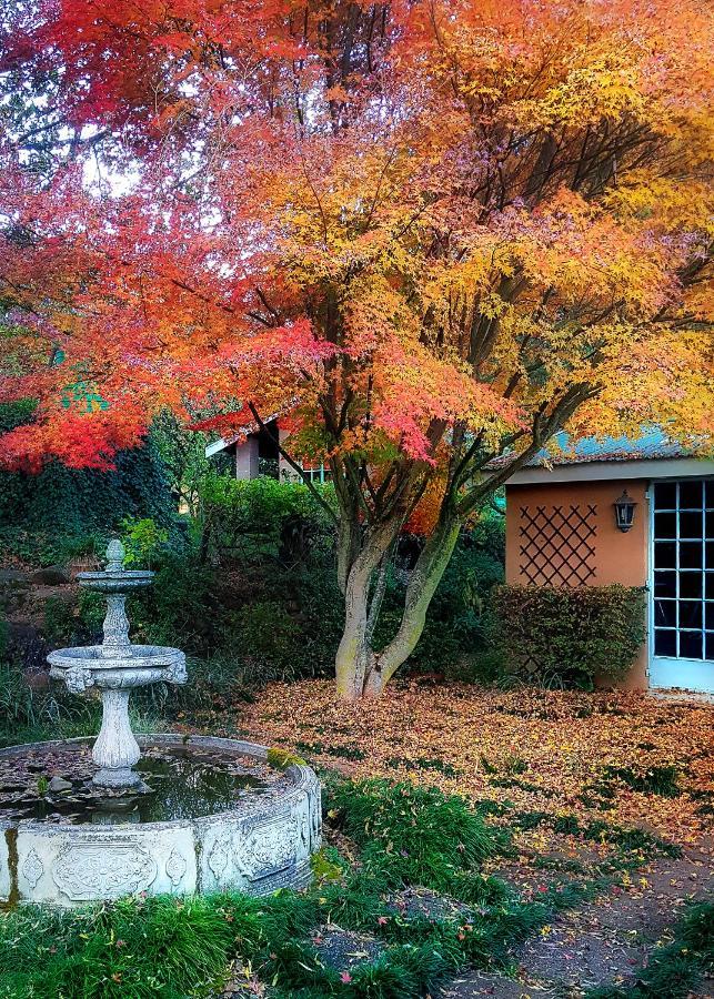 Birches Cottage & The Willows Garden Room Ундерберг Экстерьер фото