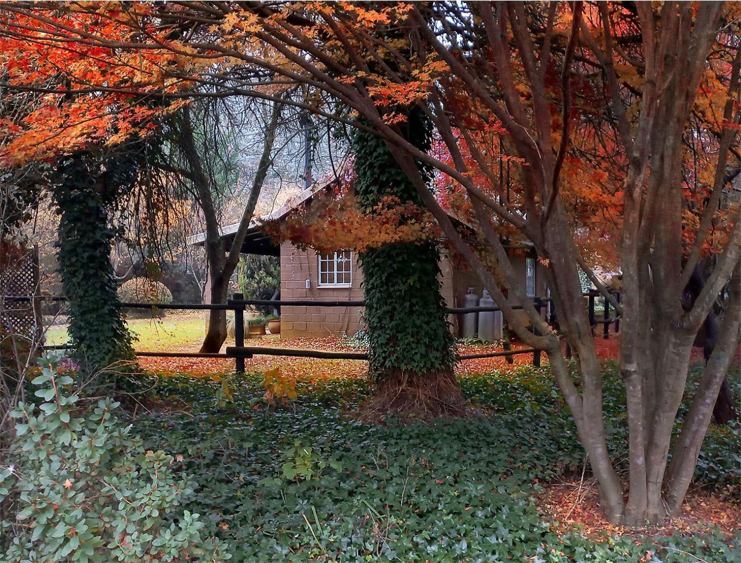 Birches Cottage & The Willows Garden Room Ундерберг Экстерьер фото